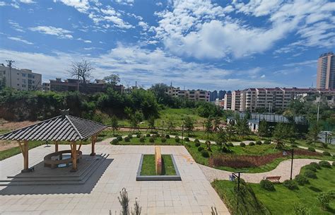 建设网站审核新闻后续 2025年01月追踪报道